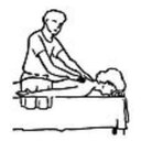 Massage-Praxis Ottilia Bischof