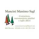 Mancini Massimo Sagl