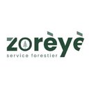 Zorèyè Service Forestier