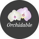 🌸 ORCHIDABLE | L’eleganza della natura, un’oasi di meraviglie botaniche 🌿