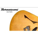Bernasconi Gitarrenbau