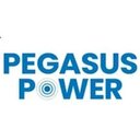 Ryser Consulting & Mental Health GmbH (Pegasus Power)