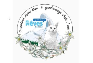 Casperland : Petsitter de Chats & Nacs, éleveuse de Maine Coon