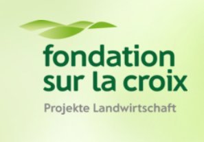 Fondation Sur-la-Croix