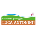 Antonini Luca