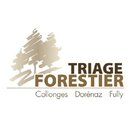 Triage forestier Collonges-Dorénaz-Fully