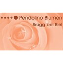 Pendolino Blumen GmbH