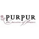 Blumen PurPur GmbH