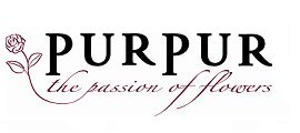 Blumen PurPur GmbH