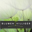 Blumen Villiger GmbH