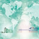 Allemann voyages
