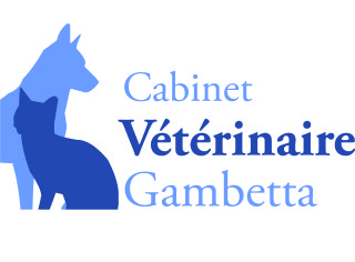 Cabinet Vétérinaire Gambetta