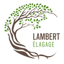 Lambert élagage