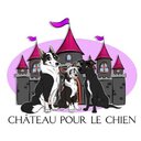 Château pour le chien