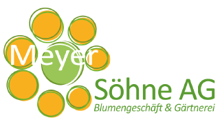 Meyer Söhne AG