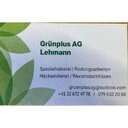 Grünplus AG Lehmann