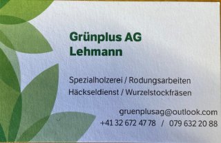 Grünplus AG Lehmann
